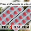 Dragon Power Pills 19